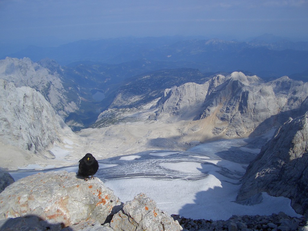 Österreich - Filzmoos - Dachstein Gipfelmomente - 2009